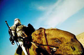 sandtrooper on a dewback - click for larger view